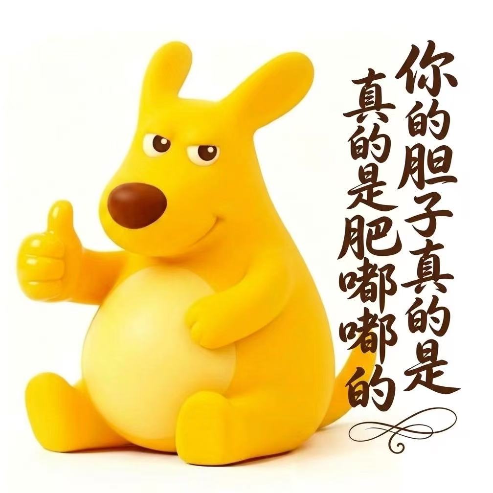 肥嘟嘟点赞并称赞胆量的 Meme
